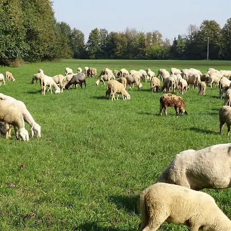 Corte Isolo Farm stay