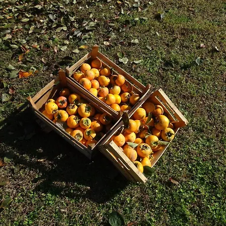 Corte Isolo Farma Goito (Lombardy)