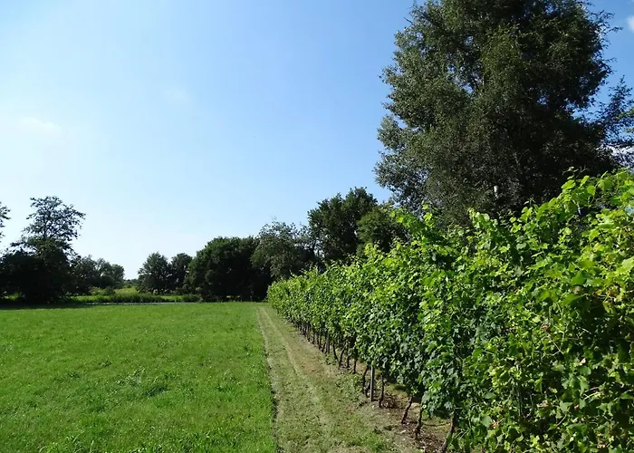 Gospodarstwo agroturystyczne Corte Isolo *