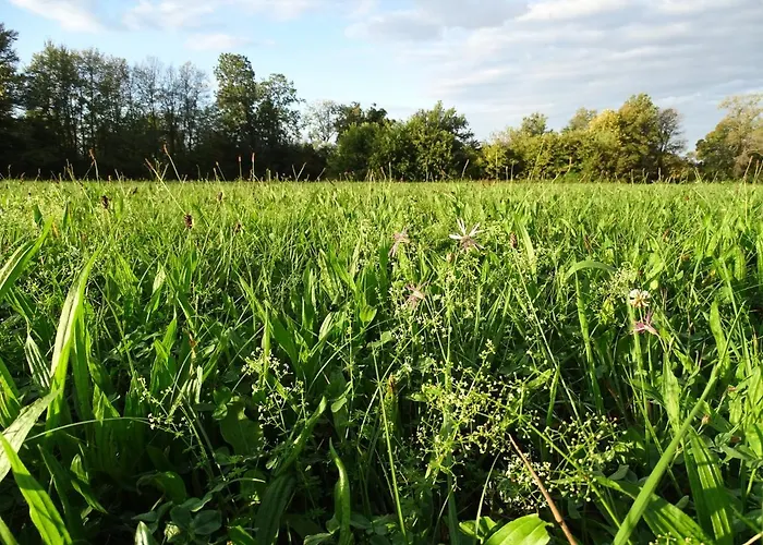 Corte Isolo Gospodarstwo agroturystyczne *