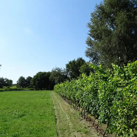 Alloggio per agriturismo Corte Isolo *
