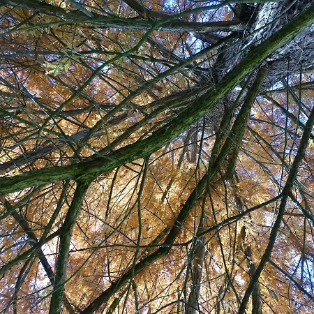 Corte Isolo 农家乐 *